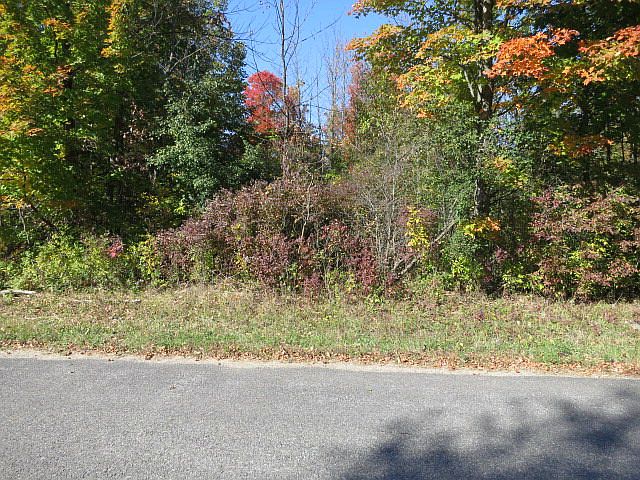 2nd image of Burns Holden Rd