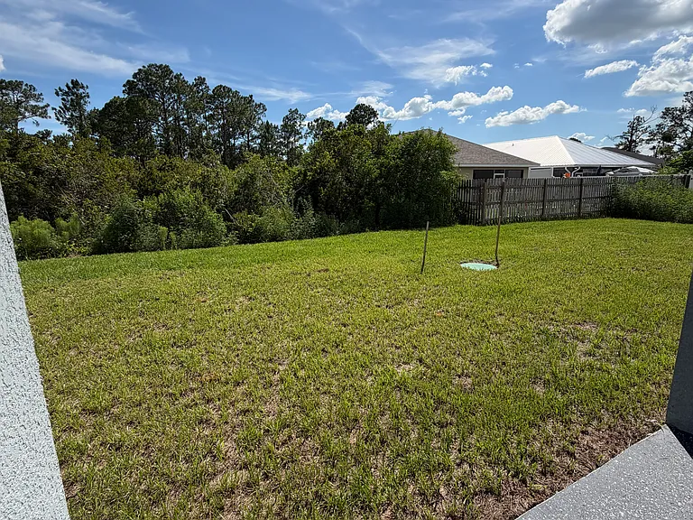 Back yard - side B