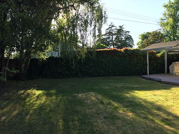 Private backyard with lawn