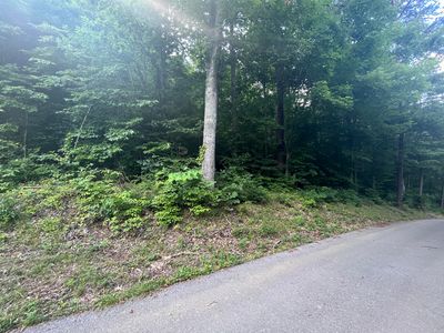 Red River Rd, Jonesborough, TN, 37659