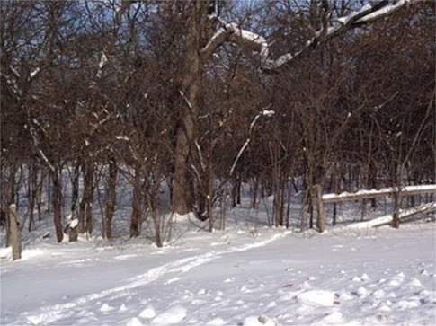 1st image of 1 Yorkshire Woods