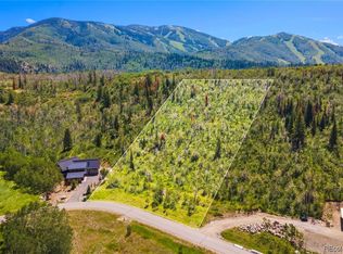 2865 Littlefish Trl, Steamboat Springs, CO 80487