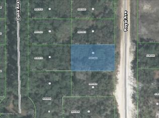111 Royal Ave, Interlachen, FL 32148