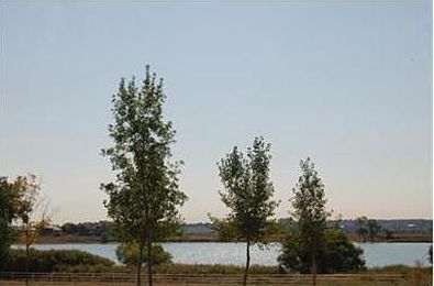2nd image of 14300 Waterside Ln #1