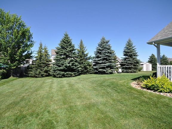backyard with trees