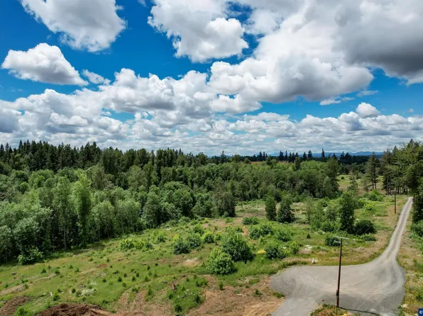 Tl 923670 Shilling Dr Lot 5, Scio, OR 97374