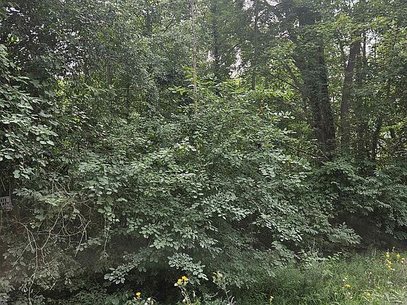 3rd image of 14080-31 Mile Rd