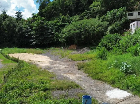 Bo Coto Sur Sector Cerro Gandia Carr 670 Km #.5, Manati, PR 00674
