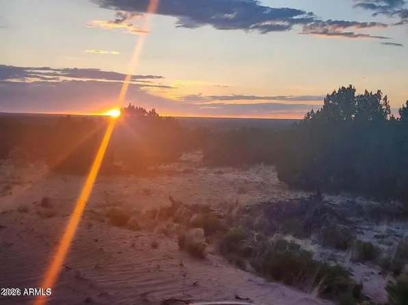 000 N TBD Drive #180-A, St Johns, AZ 85936