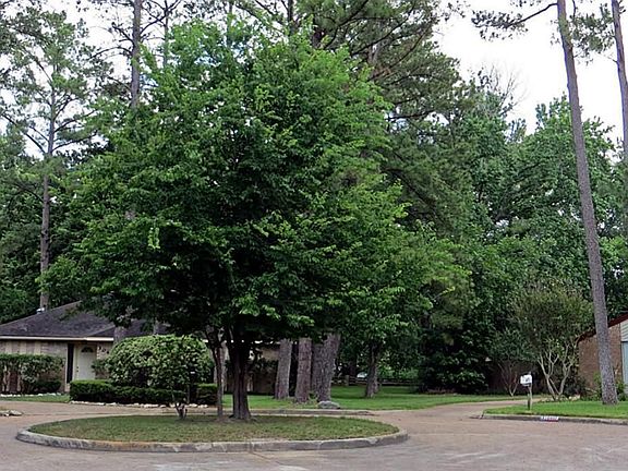 Cul-de-sac crowned by a mature tree! This is in front of this home.