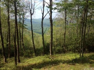 2 Tower Rd, Sapphire, NC 28774
