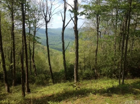 2 Tower Rd, Sapphire, NC 28774