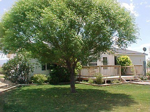 Side View