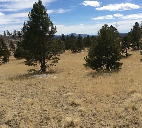 3rd image of 335 Gold Creek Dr