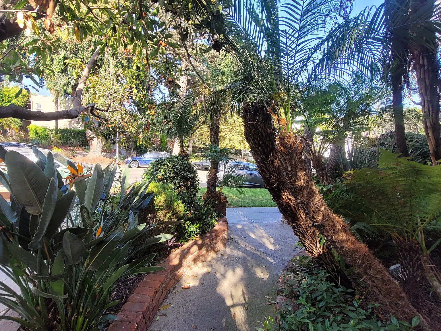 3 bed, 1664 sqft, $8,900 — Photo 2