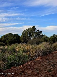 4360&4366 E Pinto Rd, Snowflake, AZ, 85937