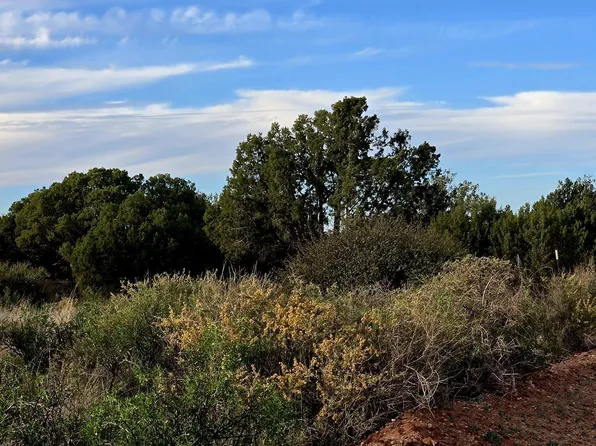 4360&4366 E Pinto Rd, Snowflake, AZ 85937