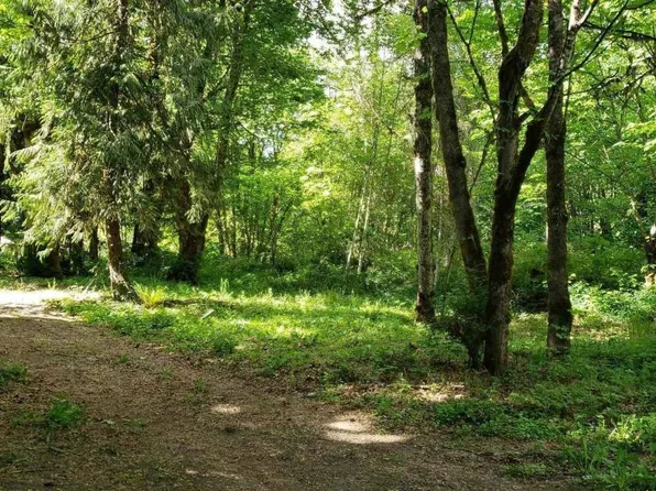 41468 Cape Horn Drive, Concrete, WA 98237