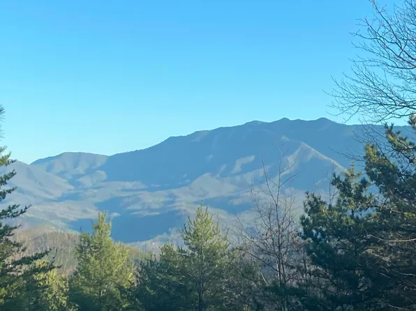 NULLD Lightning Bug Way, Gatlinburg, TN 37738