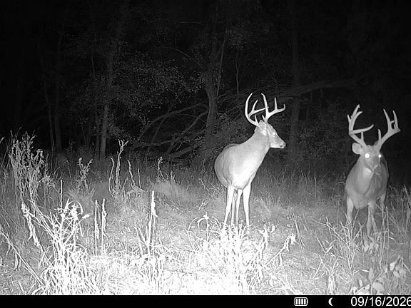 4th image of 12772 SW Marshall Rd
