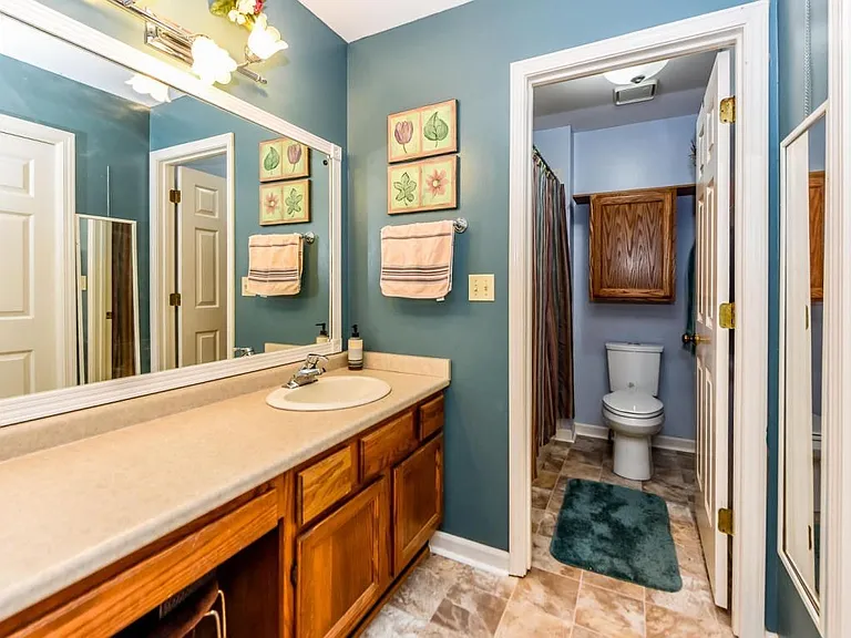 1313 Carowinds Cir — Photo 15
