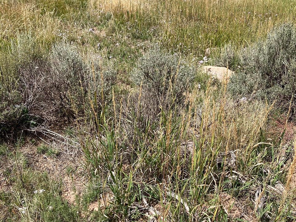 2nd image of Pine Valley