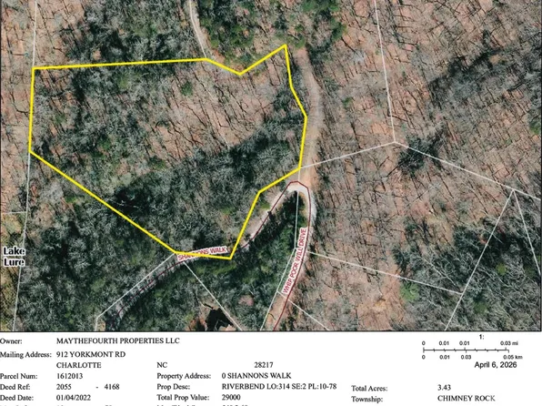 101 Shannons Walk #314, Lake Lure, NC 28746