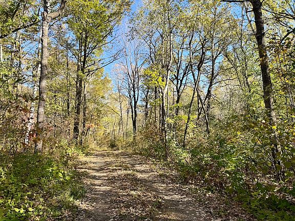 5th image of 8 Tbd County Rd