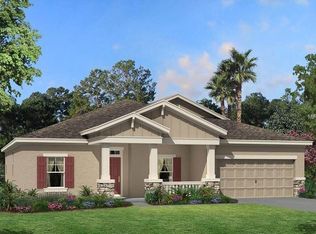 8202 Bluevine Sky Dr, Land O Lakes, FL 34637