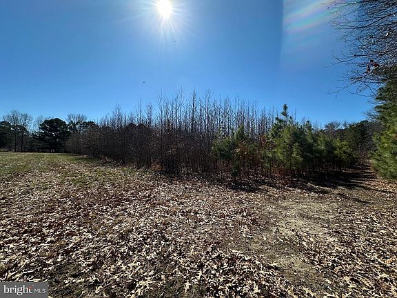 3rd image of Cooper Point Rd