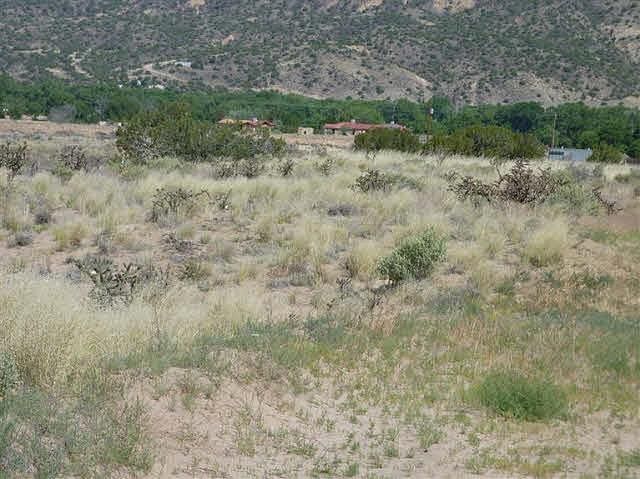 1st image of TRACT C Cottonwood #1-A