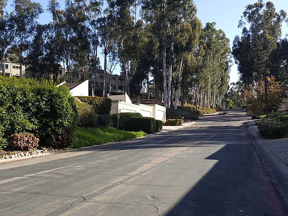 5th image of 10272 Caminito Covewood