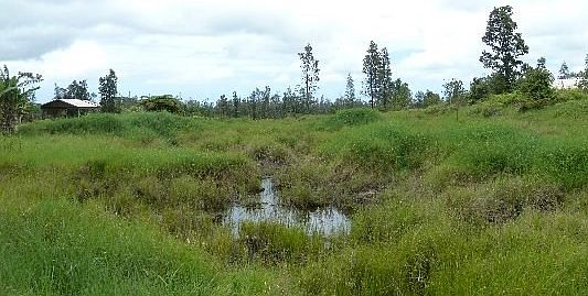 1st image of Road 9 Koloa Maoli Lot 5590