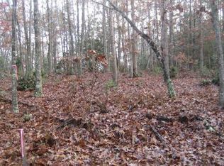 Town Road D1 Watts Pl S, Blairsville, GA 30512