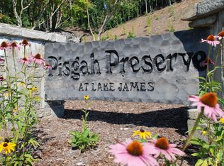 9589 Shortoff View Ter #29, Nebo, NC 28761