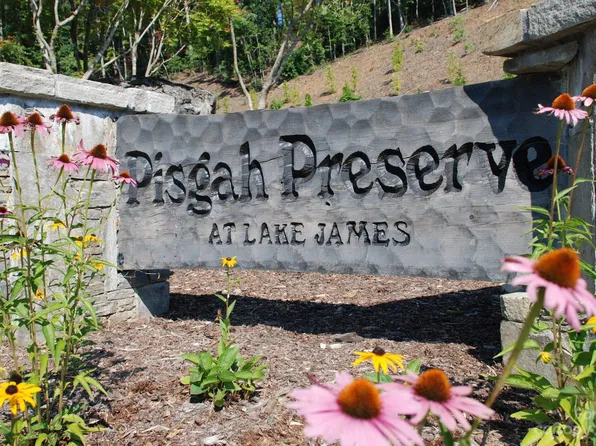 9589 Shortoff View Ter #29, Nebo, NC 28761