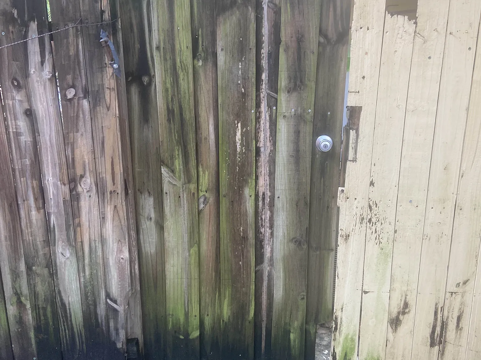 1 bed, $1,800 — Photo 3