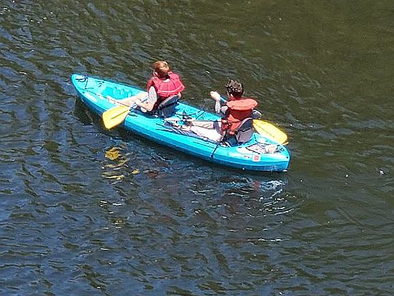 5th image of 848 Burlando Rd