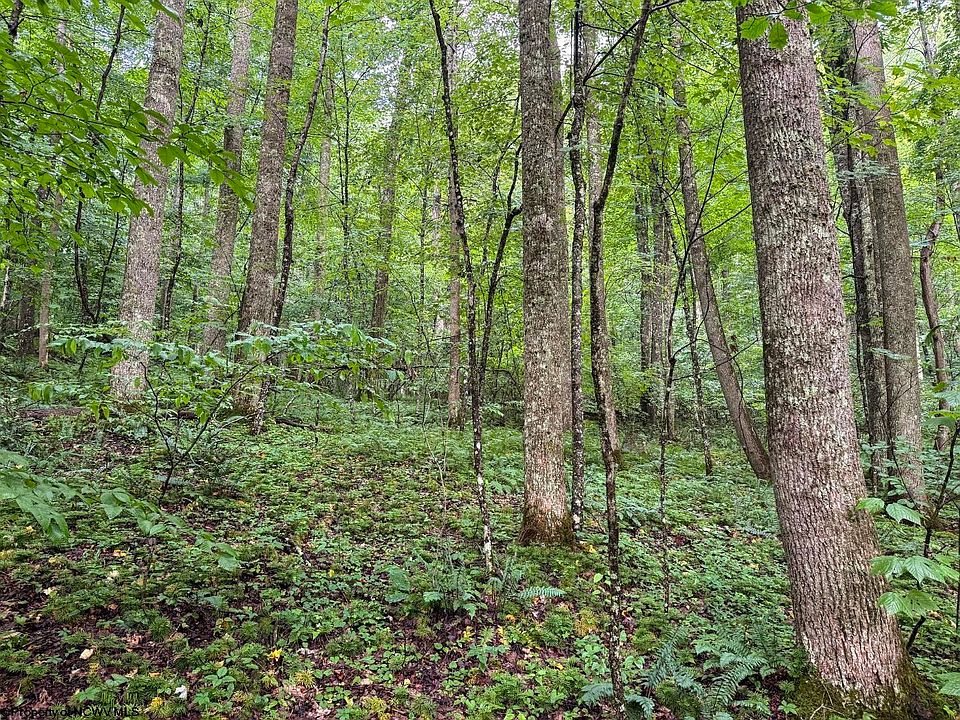 1st image of LOT 1 Hanging Run Rd