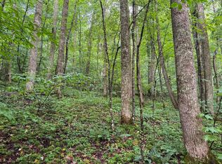 LOT 1 Hanging Run Rd, Belington, WV 26250