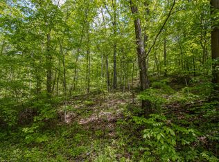 0 Kinzer Rd, Bainbridge, OH 45612