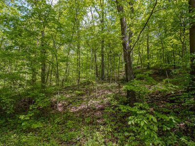 0 Kinzer Rd, Bainbridge, OH, 45612