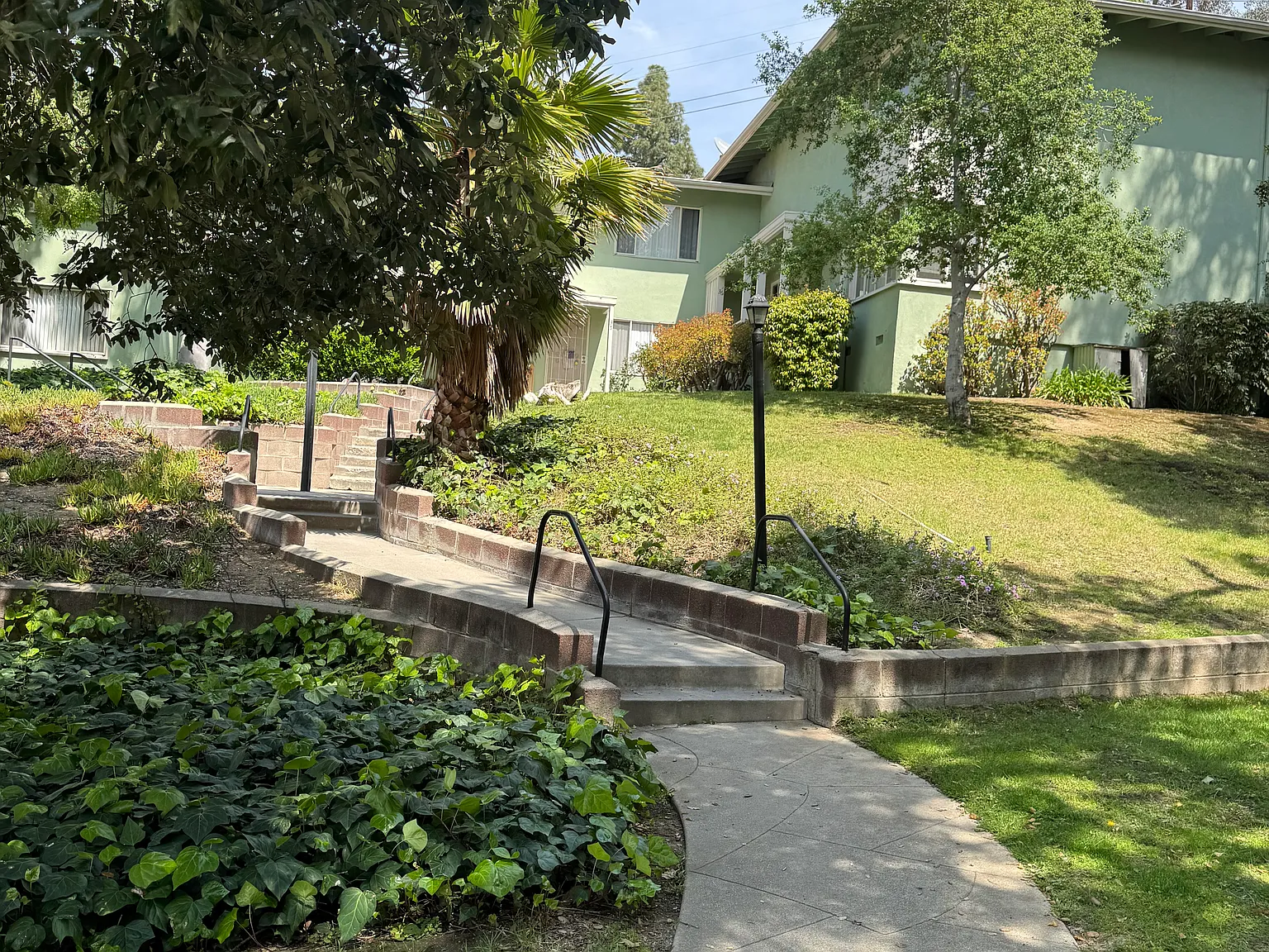 Verdugo Verde — Photo 4