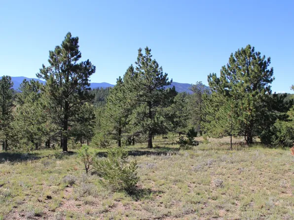 TRACT Four Patriot Cir, Westcliffe, CO 81252