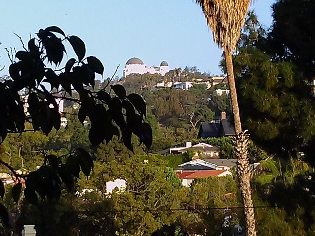 Observatory View From Unit 