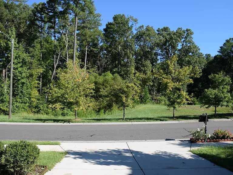 Front yard