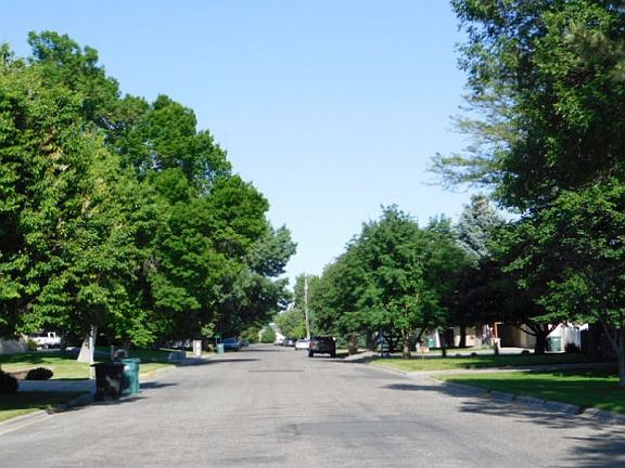 4th image of 1830 Iris Ln