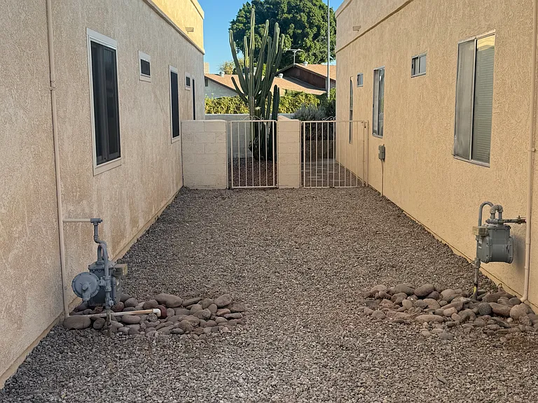 East side of yard.