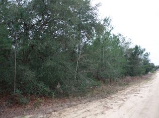 5765 Bitterroot St, Keystone Heights, FL 32656