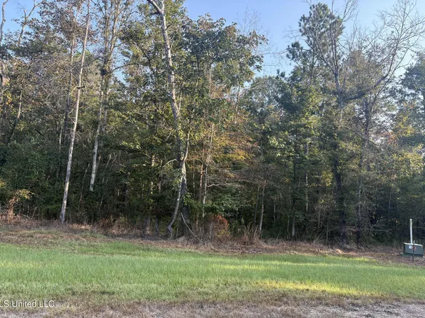0 Friendship Cir Lot 40, Forest, MS 39074